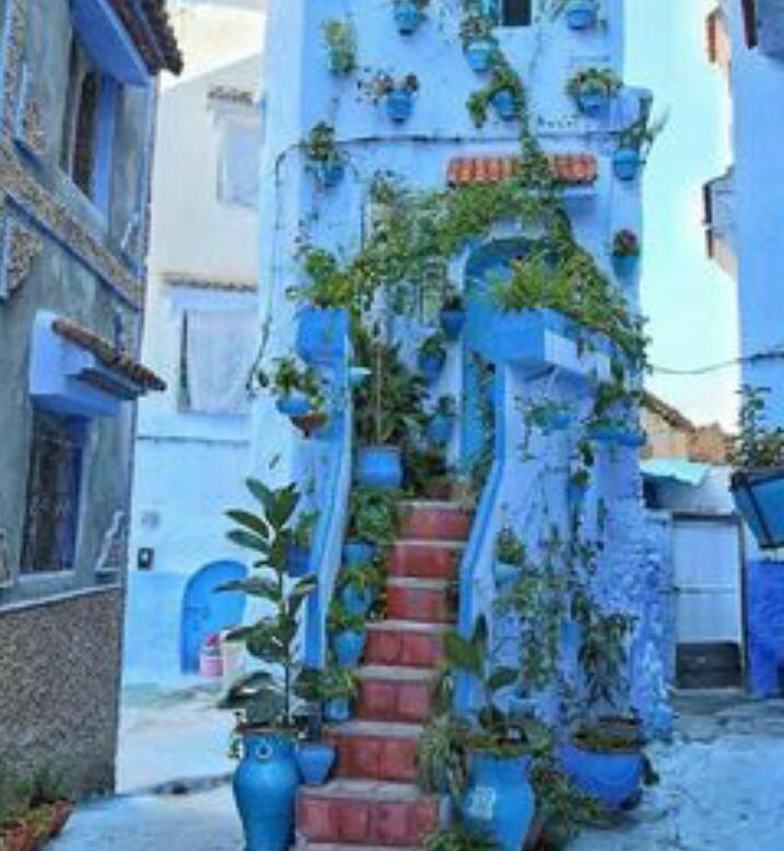 Casa Dreams Chaouen Apartment Chefchaouen Ngoại thất bức ảnh
