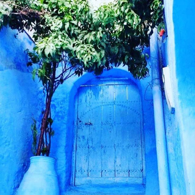Casa Dreams Chaouen Apartment Chefchaouen Ngoại thất bức ảnh