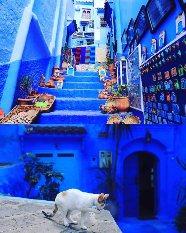 Casa Dreams Chaouen Apartment Chefchaouen Ngoại thất bức ảnh